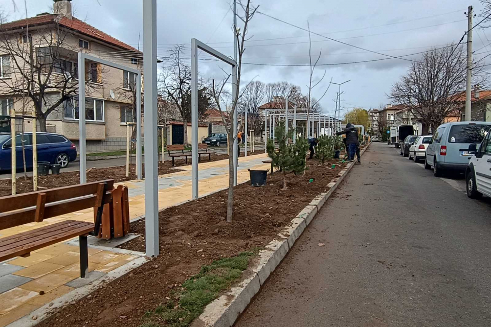 
В навечерието на пролетния сезон в Сливен започна озеленяването по улица „Никола Фурнаджиев“. Мястото е известно още като „улицата с алеята на розите“....